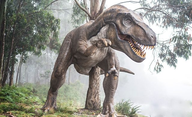 Как рождались, какими были и почему вымерли динозавры. Уверены, что знаете правильные ответы? Тест