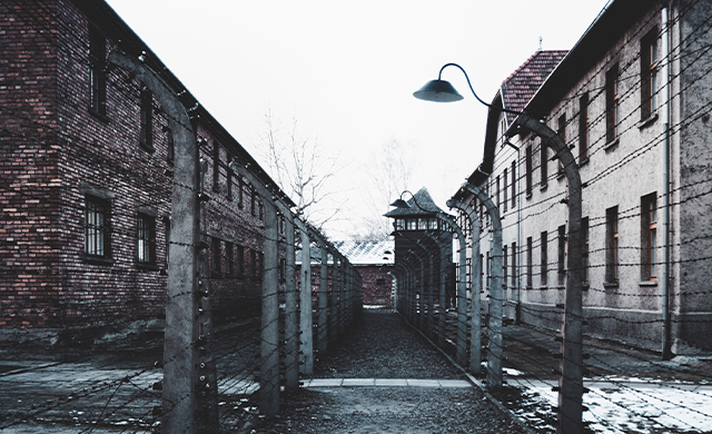 Хезер Моррис: Дорога из Освенцима