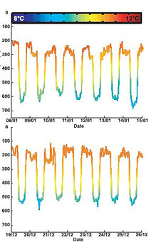 Суточные миграции двух угрей: особь №710074 вверху и особь №710076 внизу. Цветом показана температура.