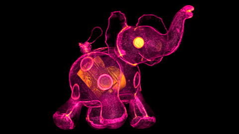 Новый взгляд на сравнительную анатомию