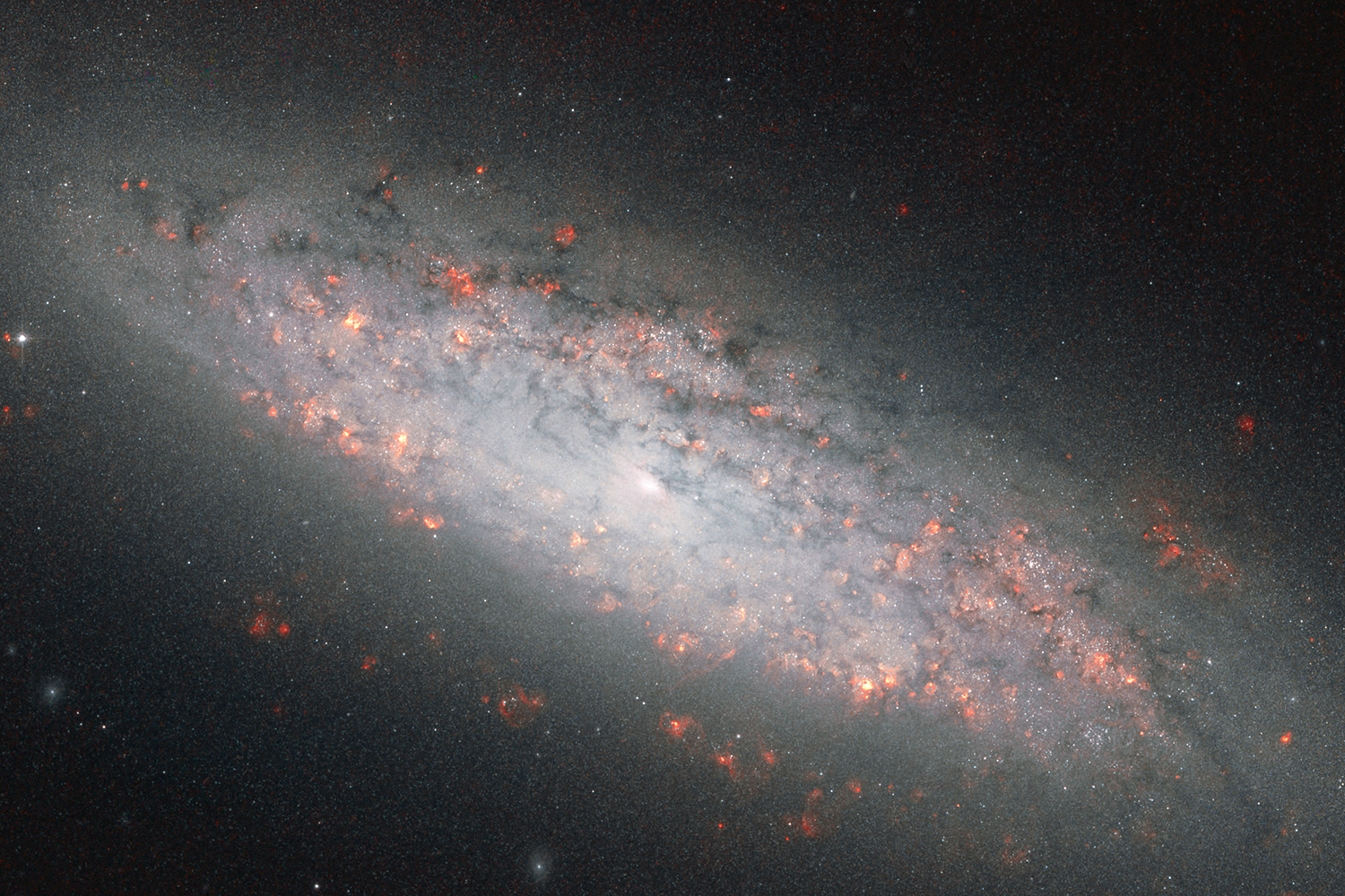 Галактика NGC 6503