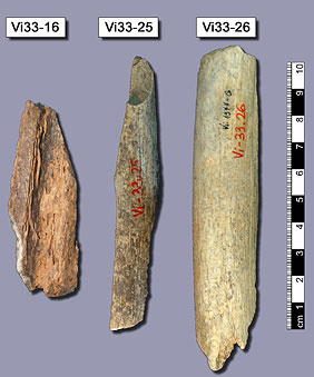 Фрагменты костей неандертальцев из трех стран