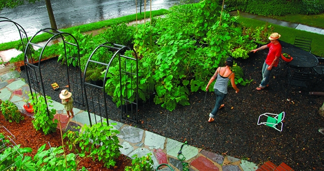 Удивить гостей и соседей – главная задача дизайнерского огорода. А если повезет, можно получить съедобный урожай