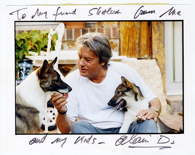 «Моему другу Шалве от меня и моих детишек, Ален Д.». Надпись на фотографии Алена Делона с собаками, подаренными Шалвой Бреусом