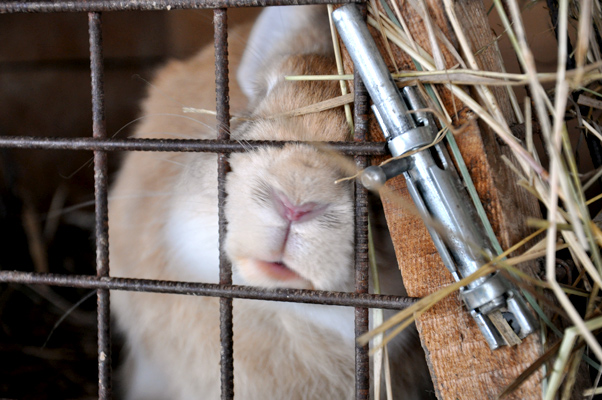 русский обед с максимом сырниковым. Смотреть фото русский обед с максимом сырниковым. Смотреть картинку русский обед с максимом сырниковым. Картинка про русский обед с максимом сырниковым. Фото русский обед с максимом сырниковым русский обед с максимом сырниковым. Смотреть фото русский обед с максимом сырниковым. Смотреть картинку русский обед с максимом сырниковым. Картинка про русский обед с максимом сырниковым. Фото русский обед с максимом сырниковым