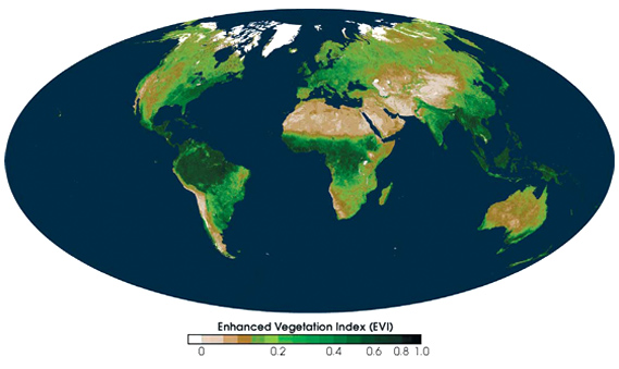 Снимки со спутников позволяют ученым наблюдать, как меняется ситуация с концентрацией зелено-лиственной растительности на Земле