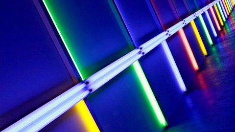 Линор Горалик: Музей — идеальное место для ребенка