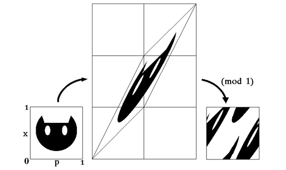 Кошка Арнольда наматывается на тор — так математики называют поверхность бублика. Здесь эта поверхность нарисована не в объеме, а в виде выкройки. В теории динамических систем это важный пример: он объясняет, как повторением простой процедуры превратить неслучайную картинку в кажущийся беспорядочным узор