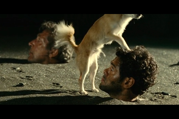 Кадр из фильма «Джунгли зовут: В поисках Марсупилами»