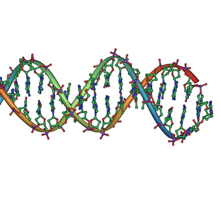 Двойная спираль, double helix DNA