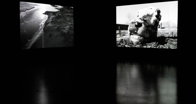 Клуб «Сноб» приглашает на X Медиафорум Московского международного кинофестиваля