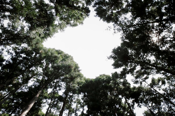 Кадр из фильма «Инори»