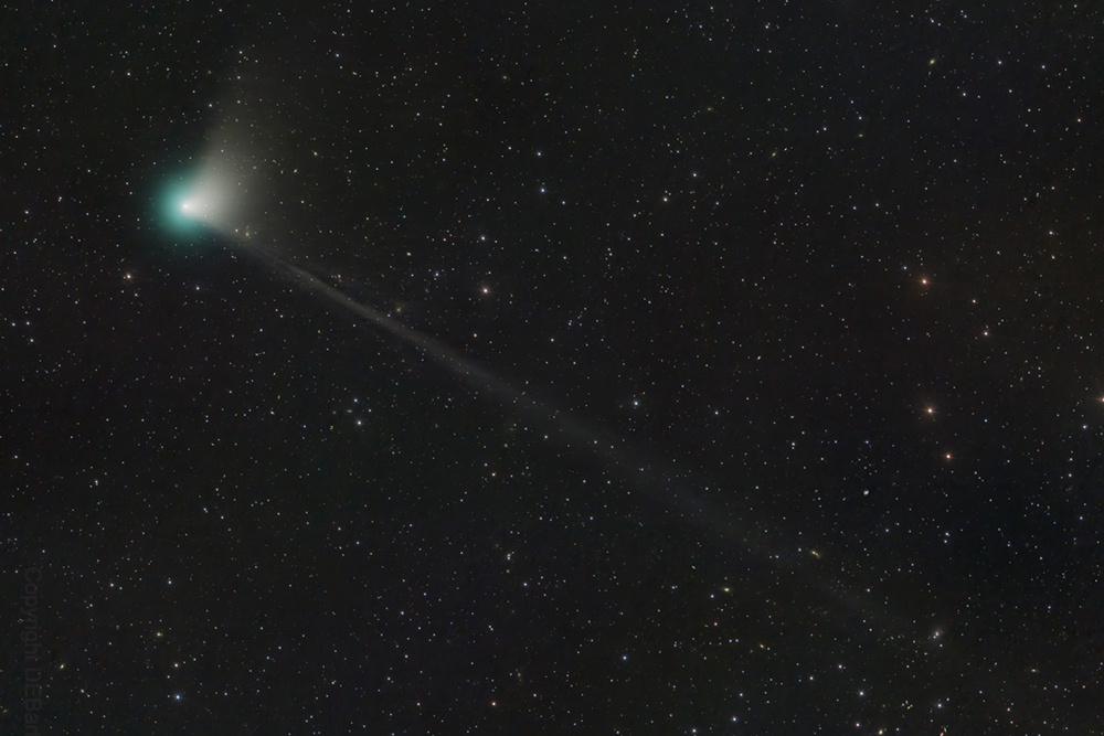 В какое время можно увидеть комету. Комета c/2022 e3 (ZTF). Комета ЗТФ. Комета c1811f1. Комета 1 февраля 2023.