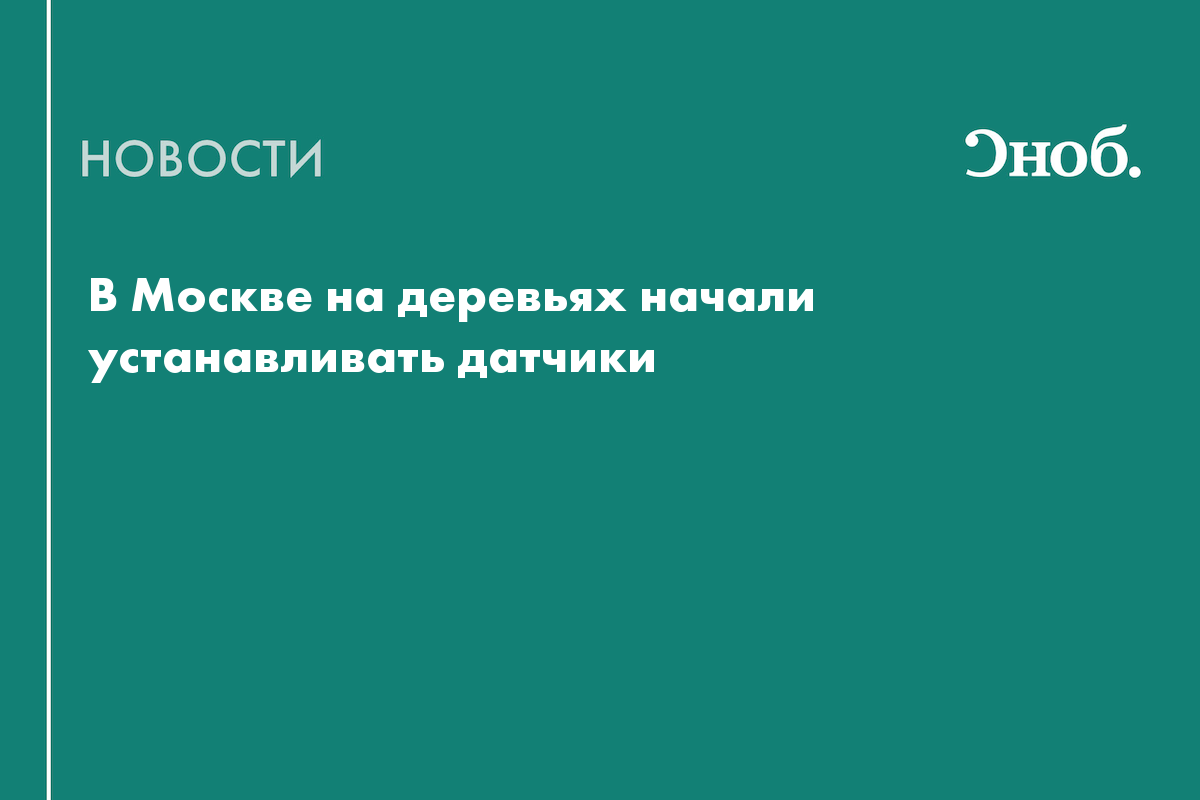 В Москве на деревьях начали устанавливать датчики — Сноб