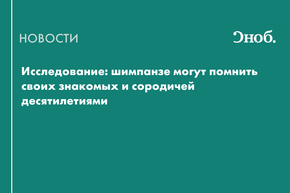 Исследование: шимпанзе могут помнить своих знакомых и сородичей ...