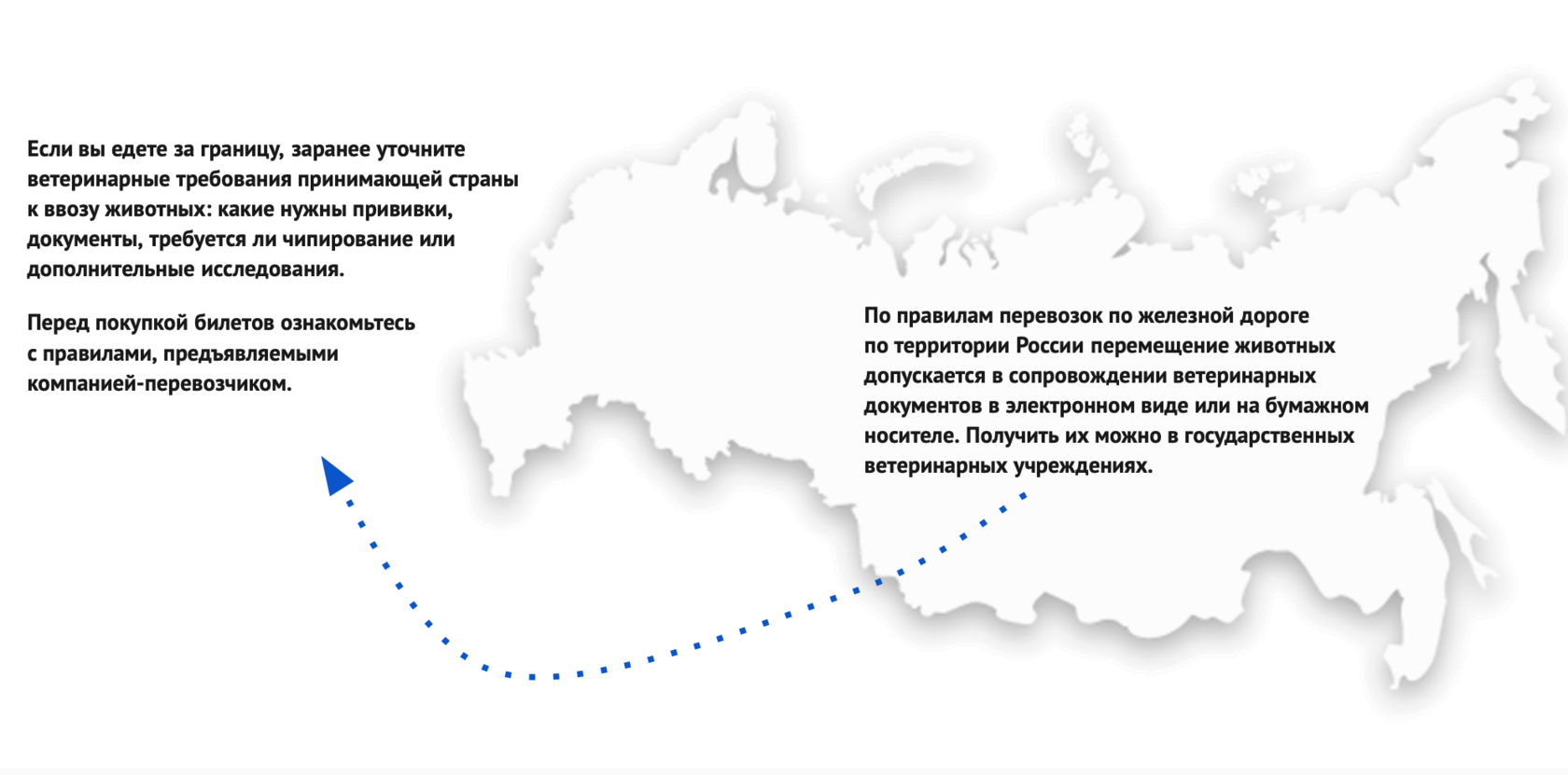 Правила перевозки животных